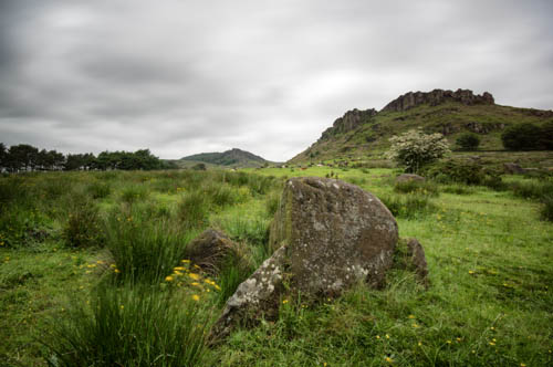 Roaches long exposure in early summer