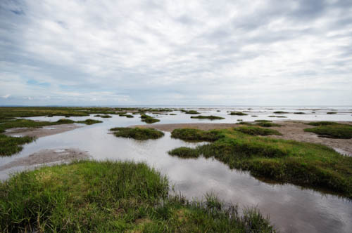 marshland and sea