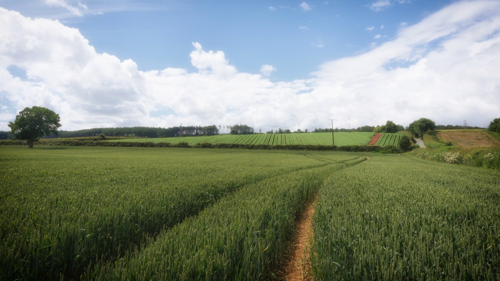 P1010066-Edit-Edit-Edit